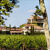 Chateau Smith Haut Lafitte à Martillac